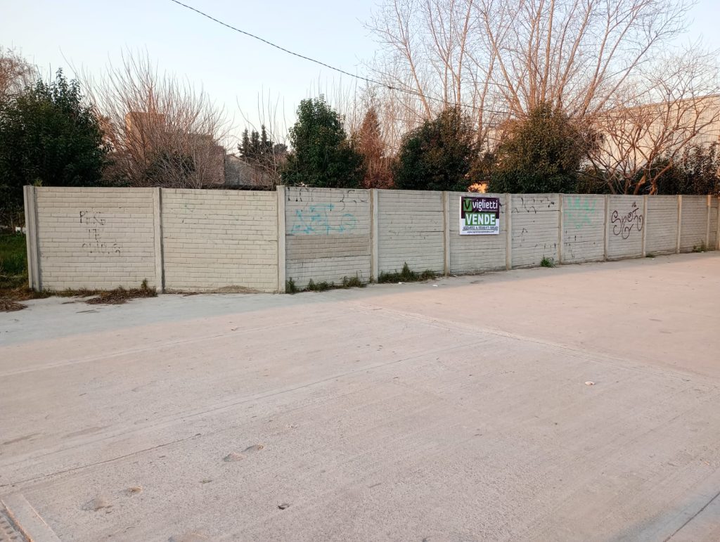 OFERTA: GRAN LOTE EN ESQUINA SOBRE CAMINO GENERAL BELGRANO EN SOURIGUES image 1