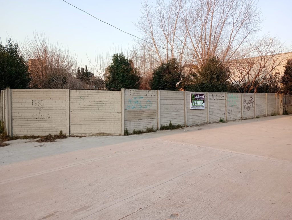OFERTA: GRAN LOTE EN ESQUINA SOBRE CAMINO GENERAL BELGRANO EN SOURIGUES image 4