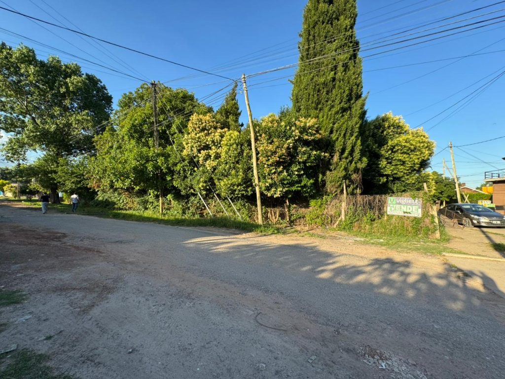 GRAN LOTE EN ESQUINA CON LOCAL, CASA y CONSTRUCCIÓN A RECICLAR EN BOSQUES image 5